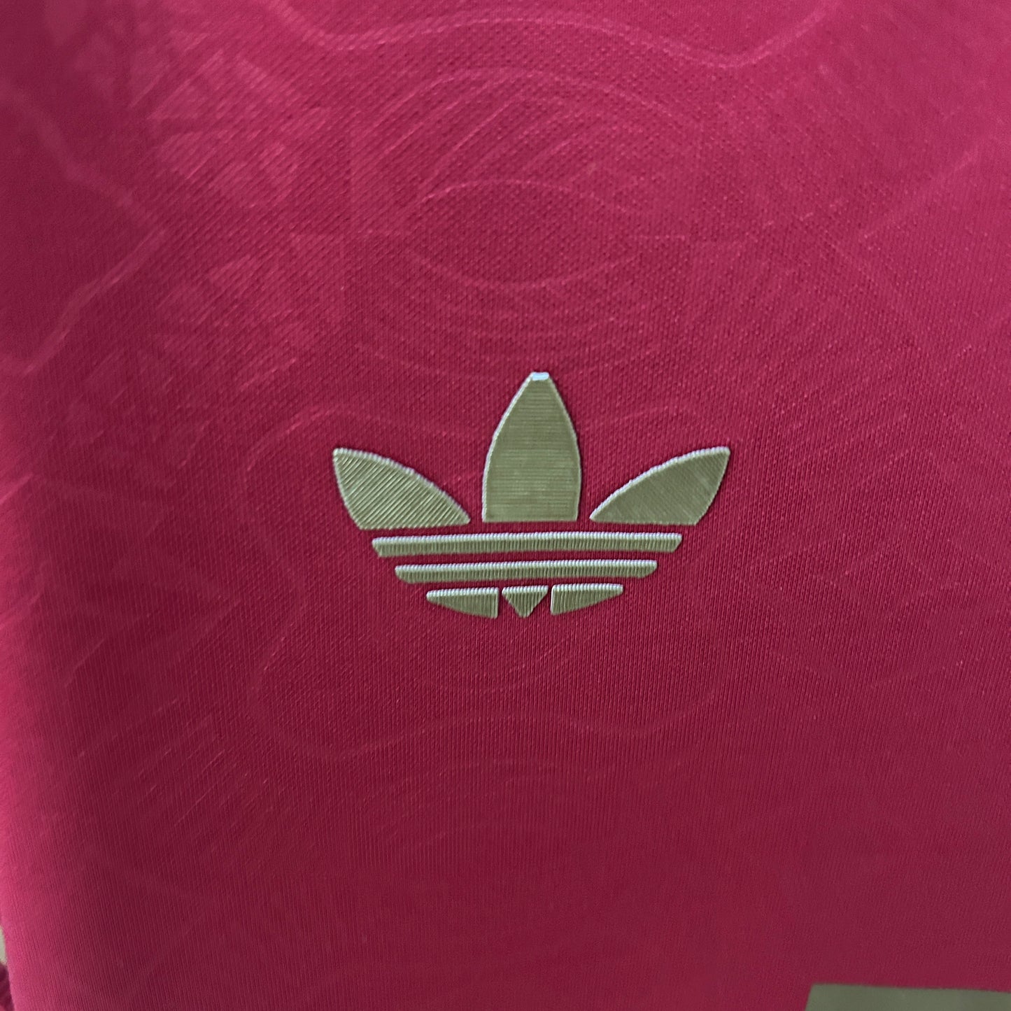 Bayern München 125 Anniversary Red Premium Kit