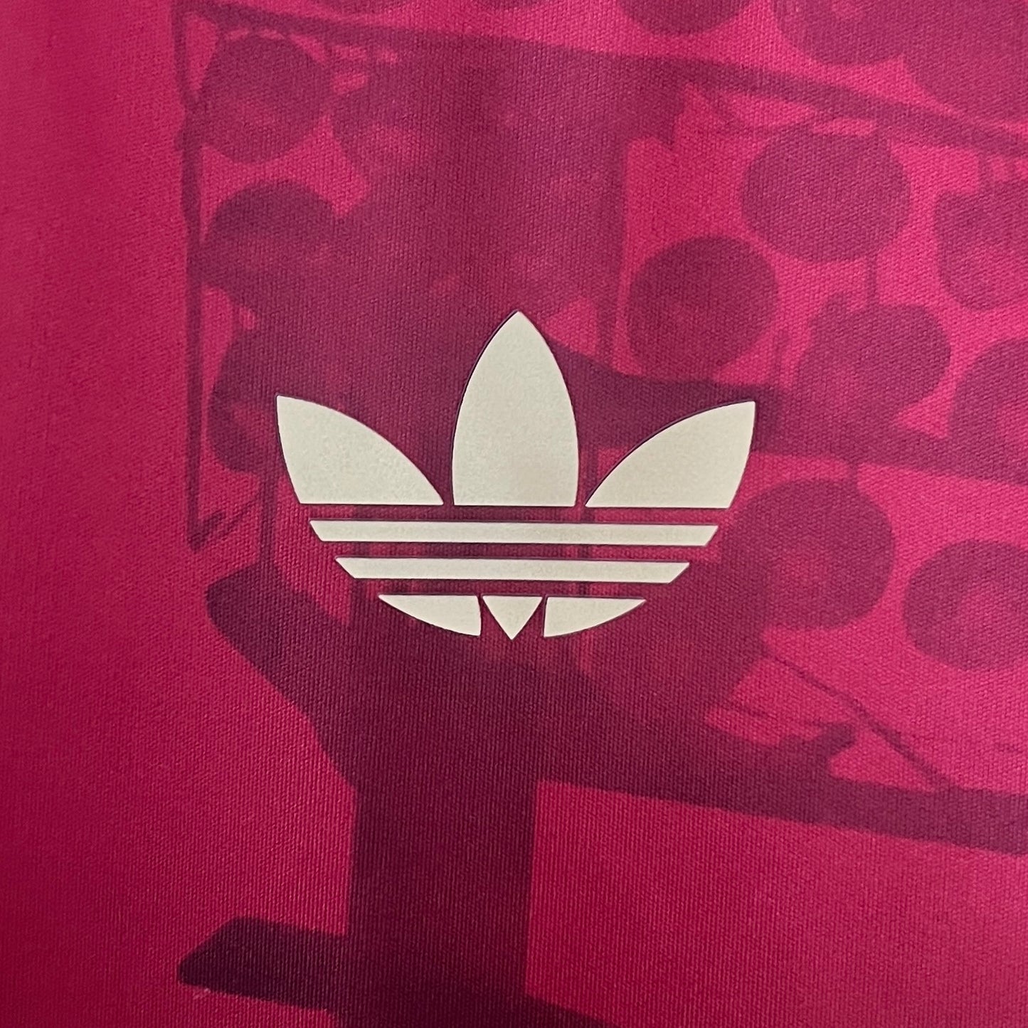 Bayern München "Crownveil" Premium Kit