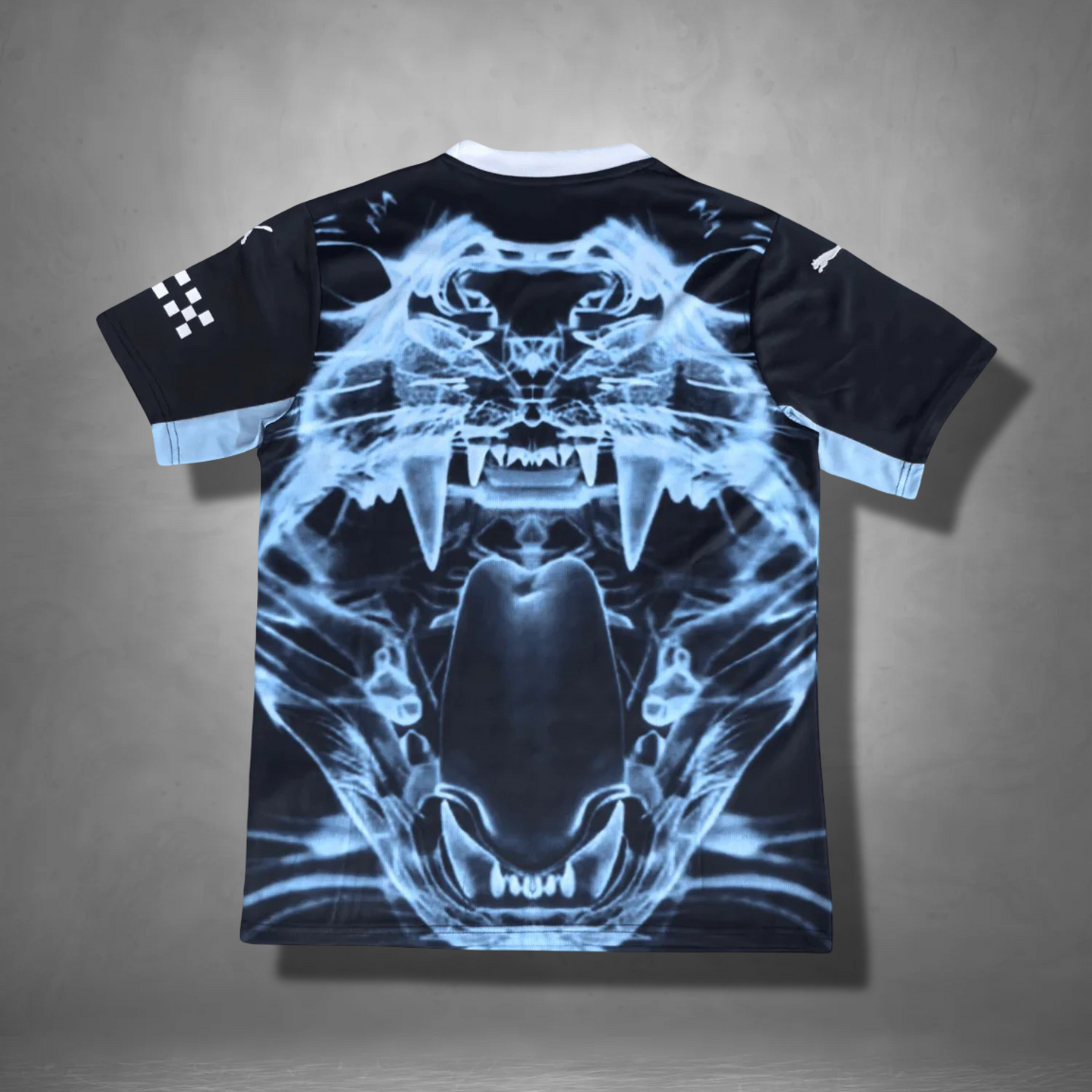Manchester City "Predator X" Premium Kit