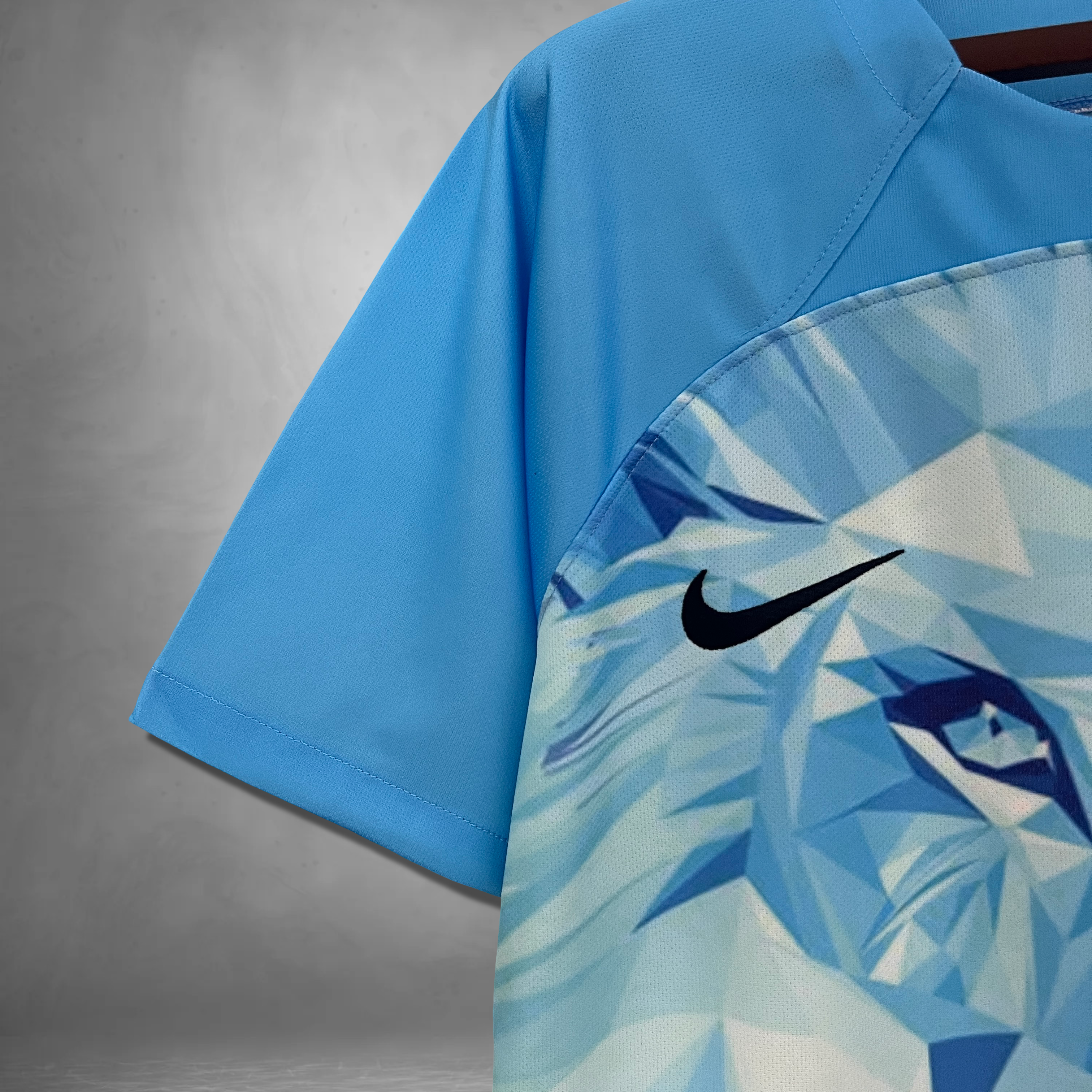 Netherlands "Lionwake" Premium Kit