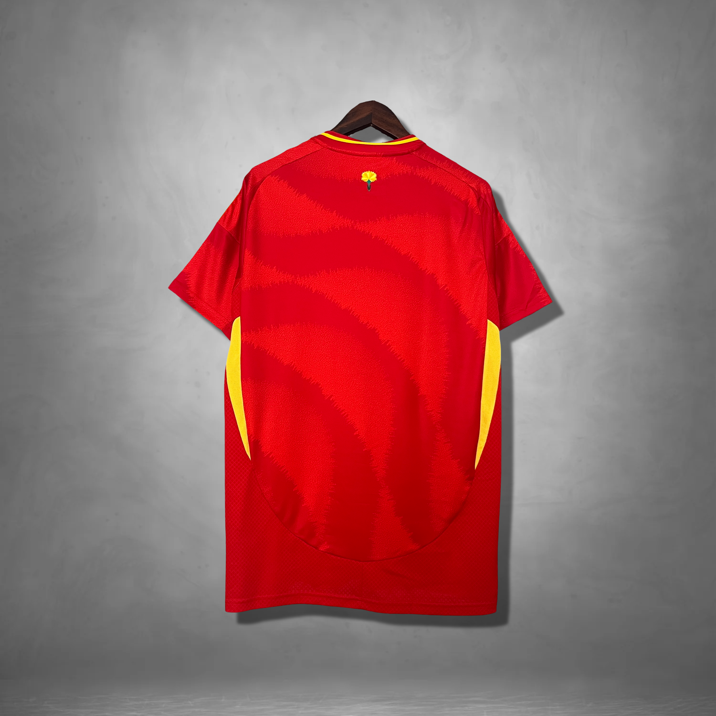 Spain Home Kit