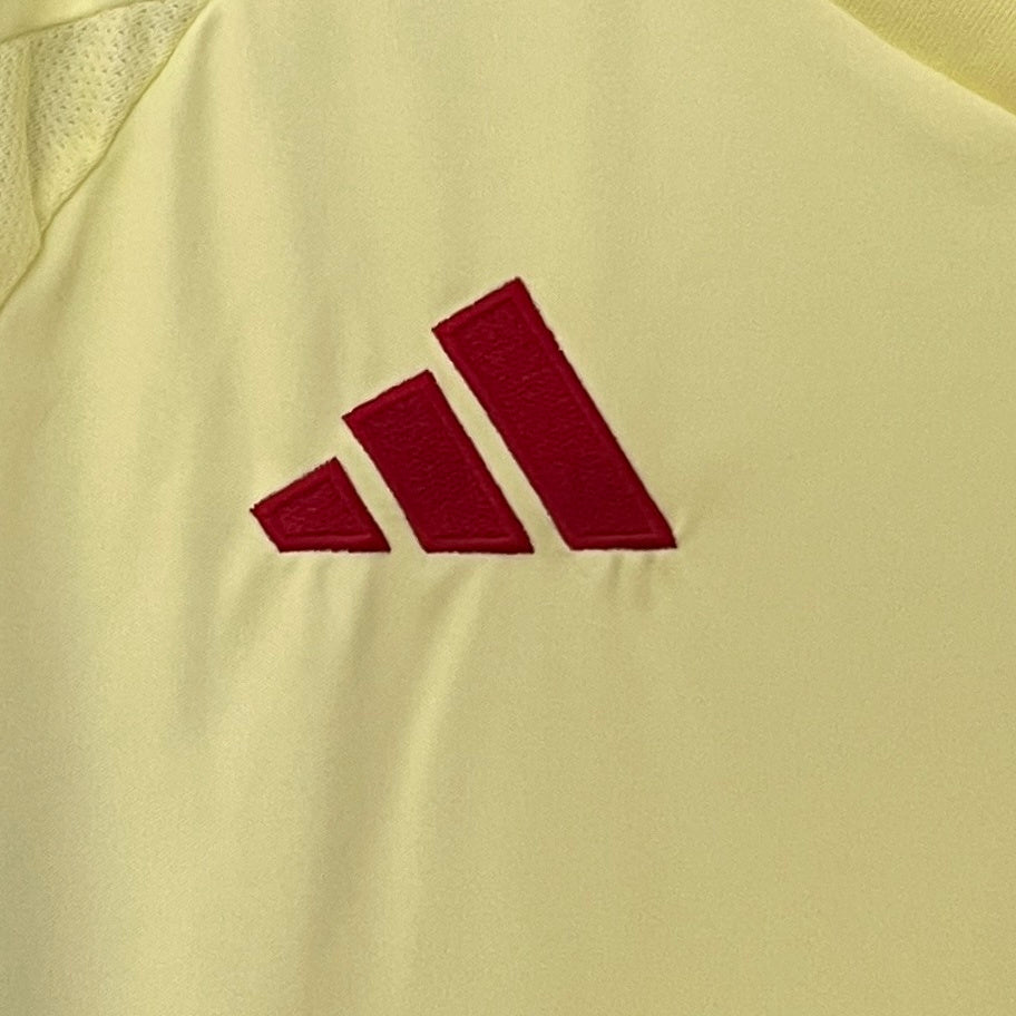 Spain Away Kit