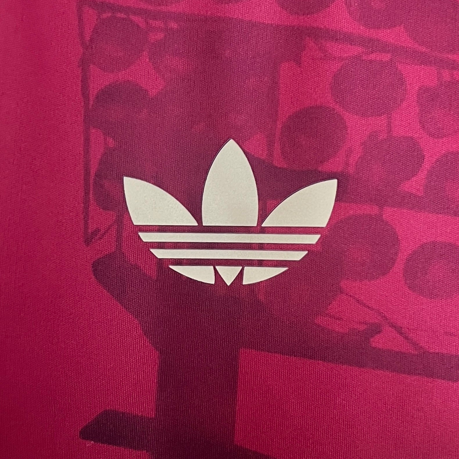 Bayern München "Crownveil" Premium Kit