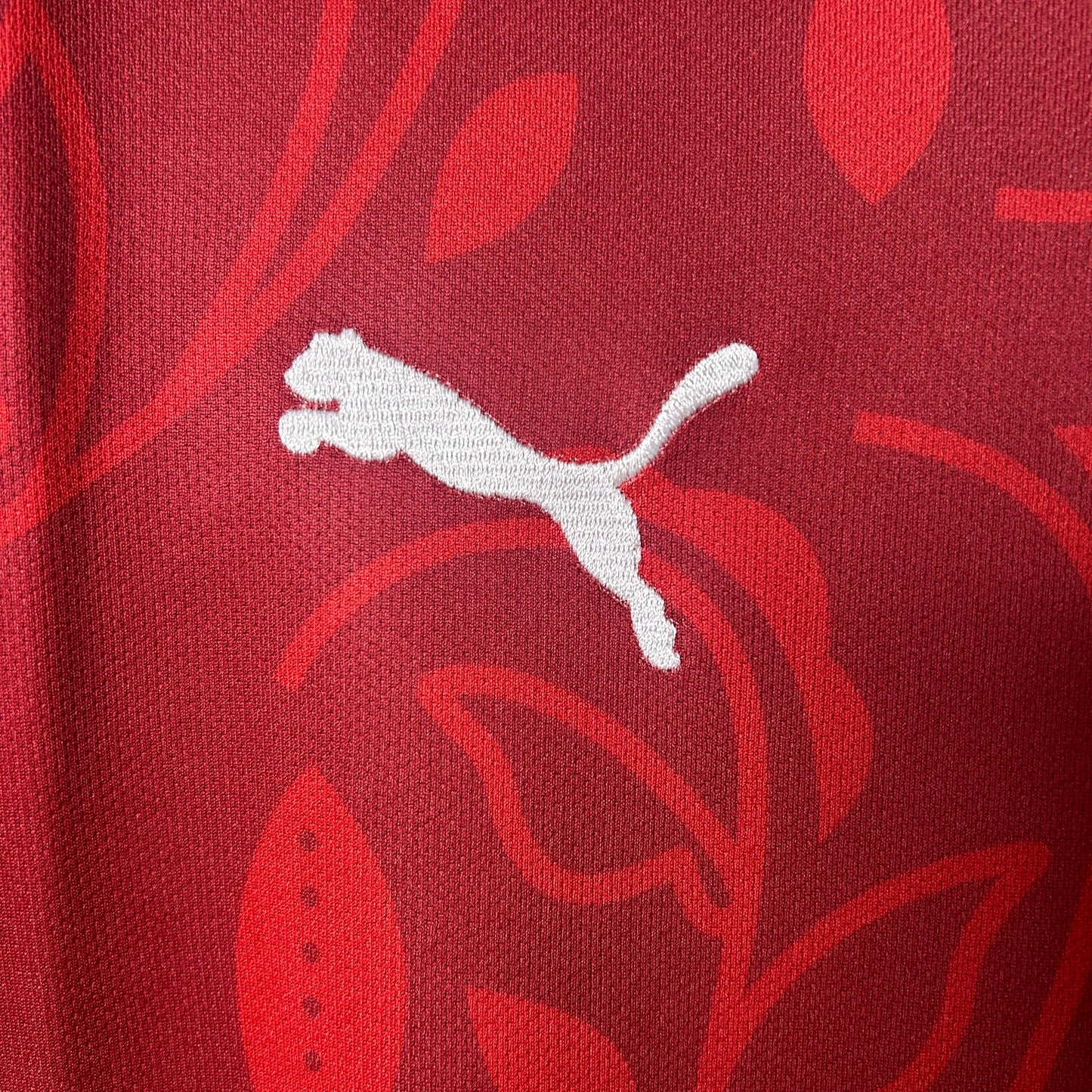 Portugal "Encarnado" Premium Kit
