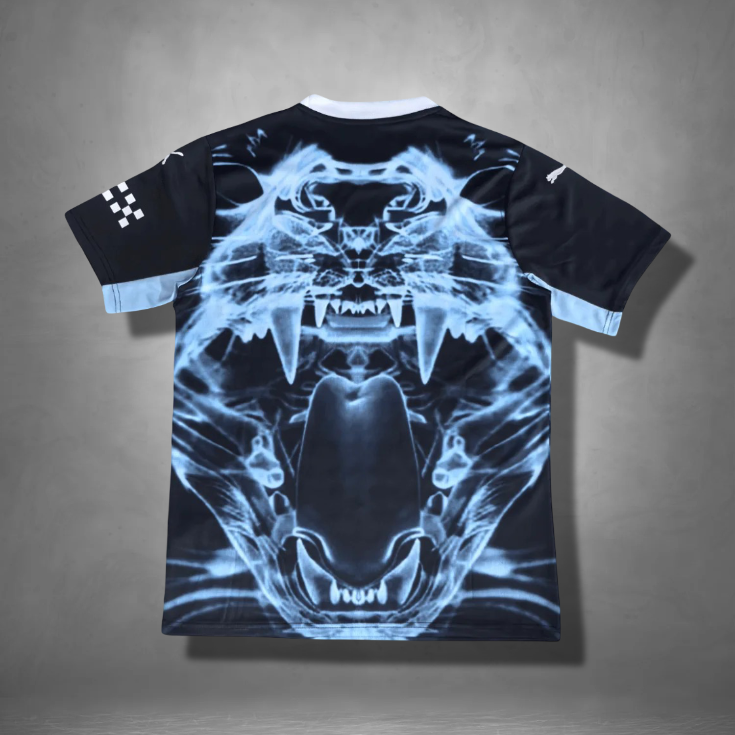 Manchester City "Predator X" Premium Kit